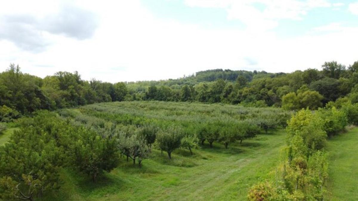 Picture of Residential Land For Sale in Bedford, Virginia, United States