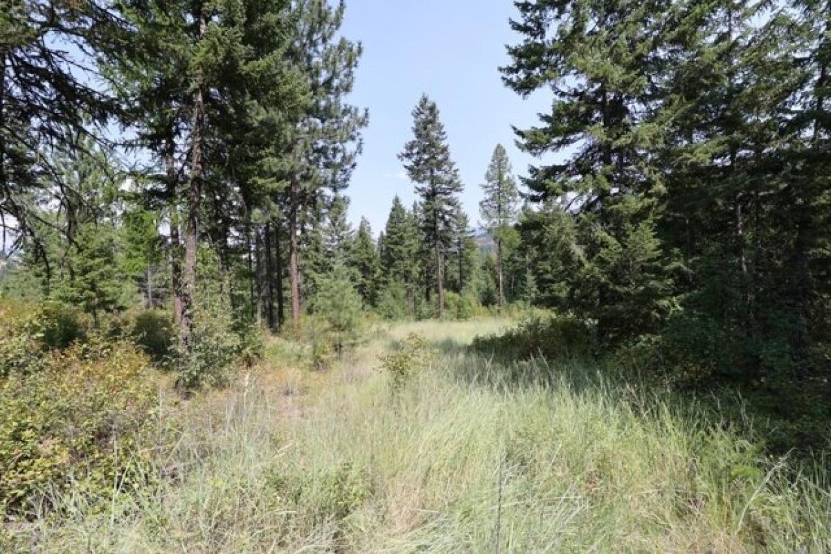 Picture of Residential Land For Sale in Plains, Montana, United States