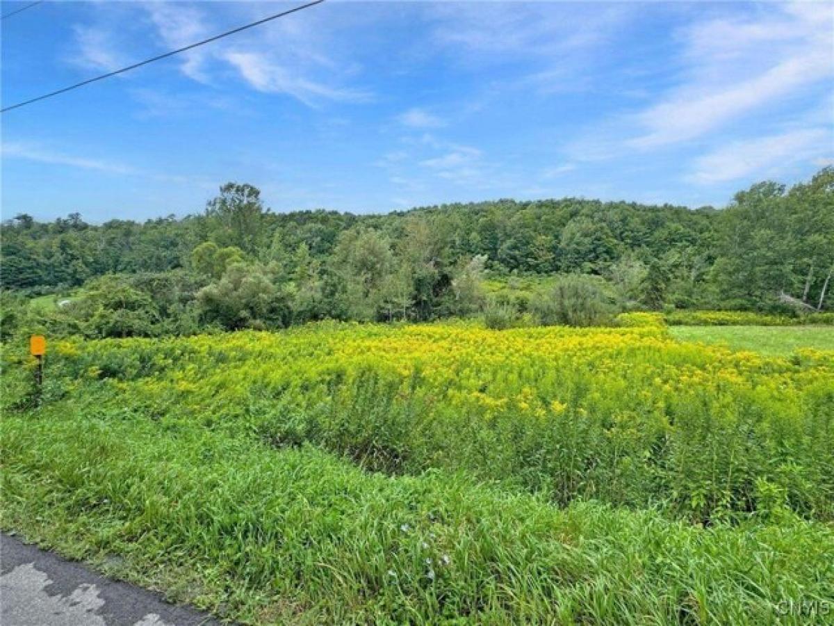 Picture of Residential Land For Sale in Ilion, New York, United States