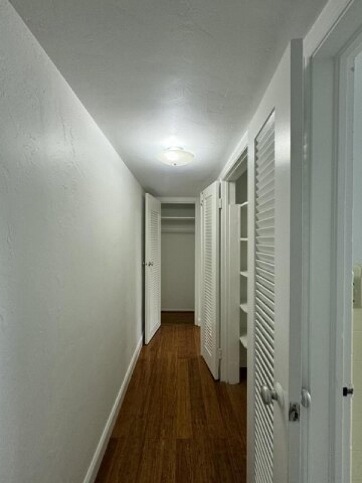 Picture of Apartment For Rent in Key West, Florida, United States