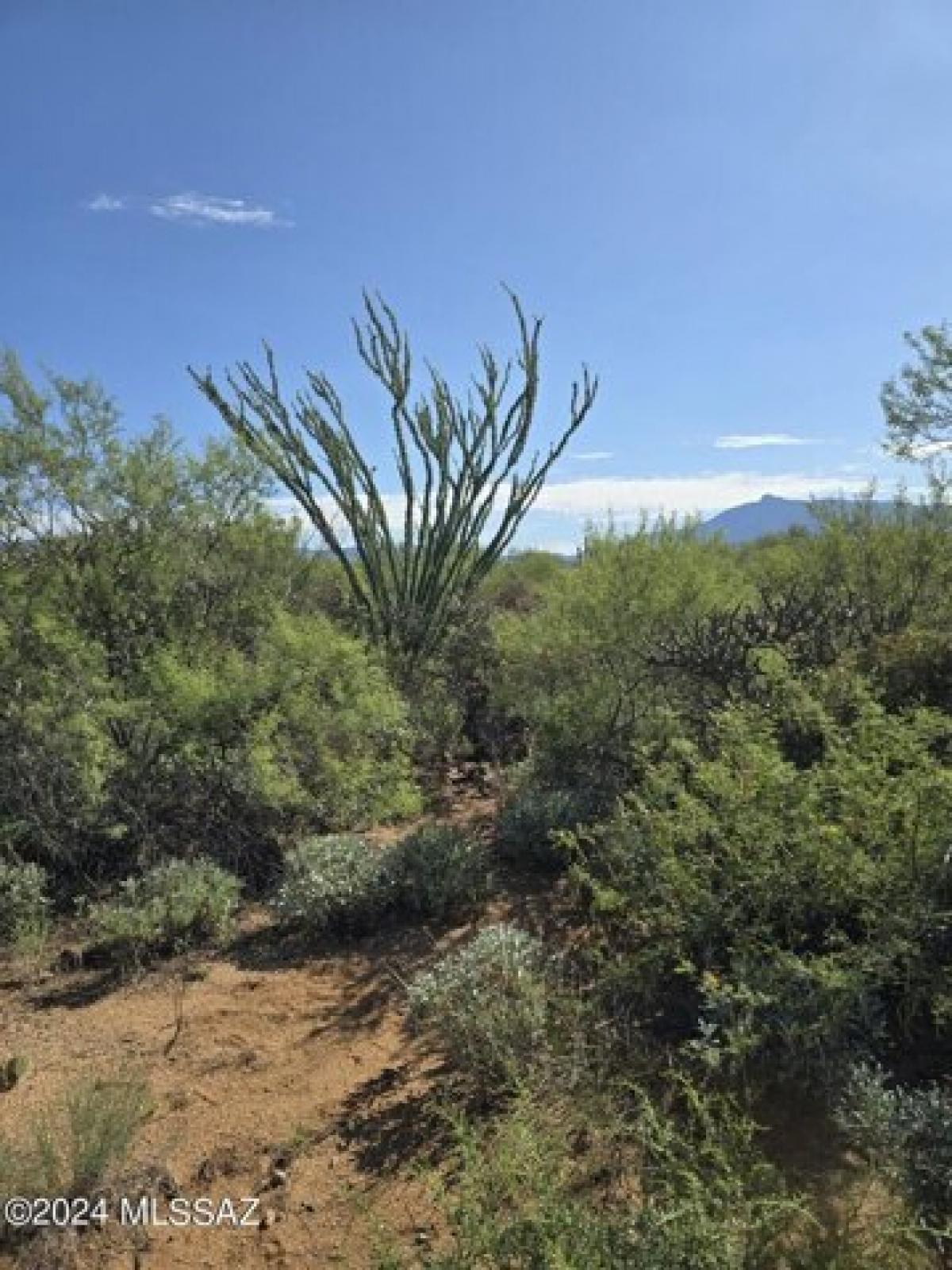 Picture of Residential Land For Sale in Vail, Arizona, United States