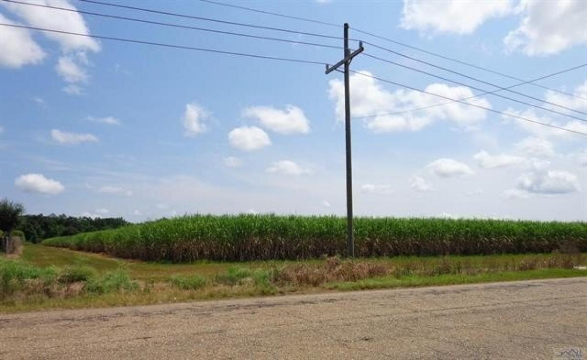 Picture of Residential Land For Sale in Franklin, Louisiana, United States