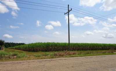 Residential Land For Sale in Franklin, Louisiana