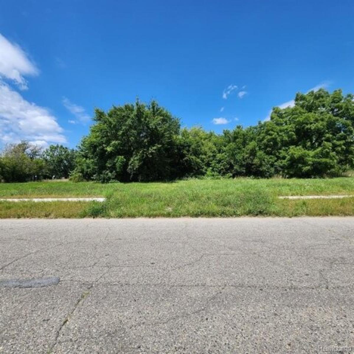 Picture of Residential Land For Sale in Detroit, Michigan, United States