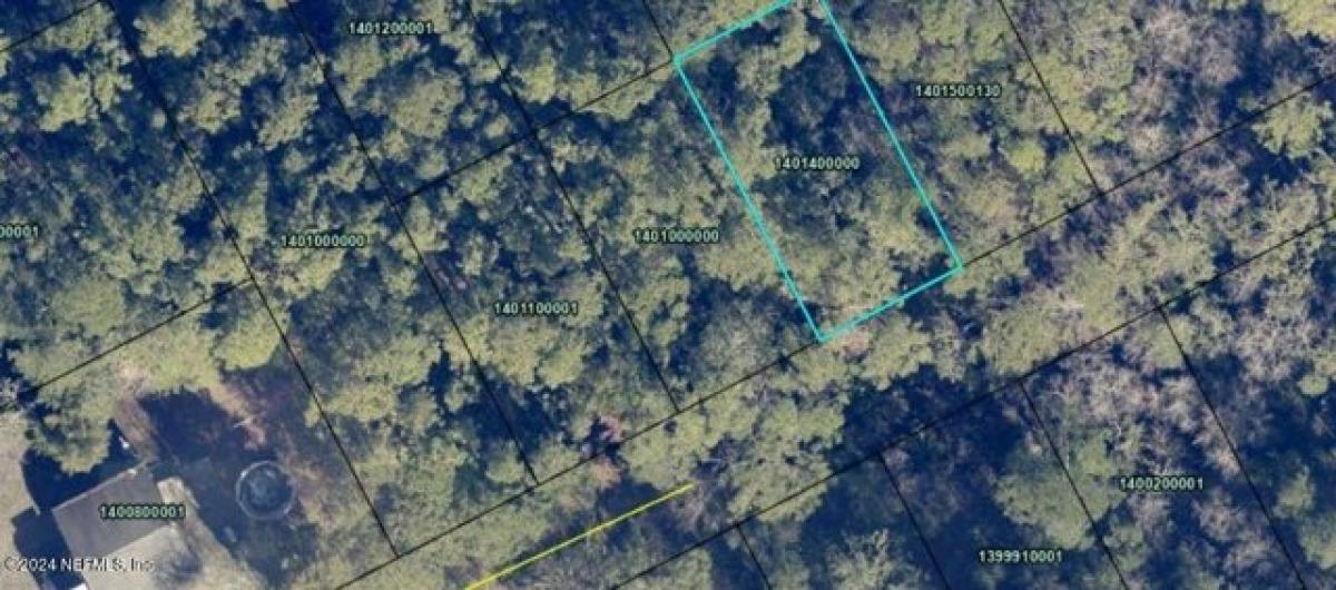 Picture of Residential Land For Sale in Elkton, Florida, United States