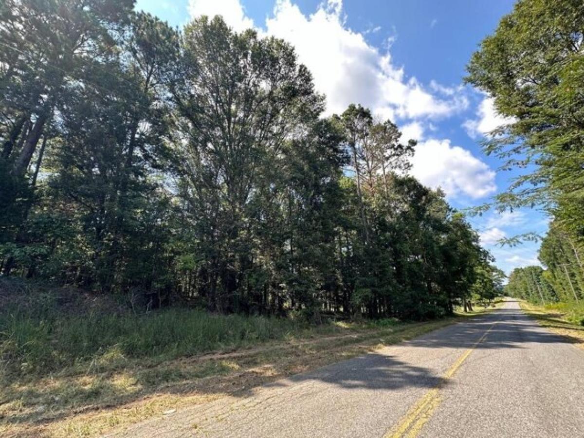 Picture of Residential Land For Sale in Raymond, Mississippi, United States