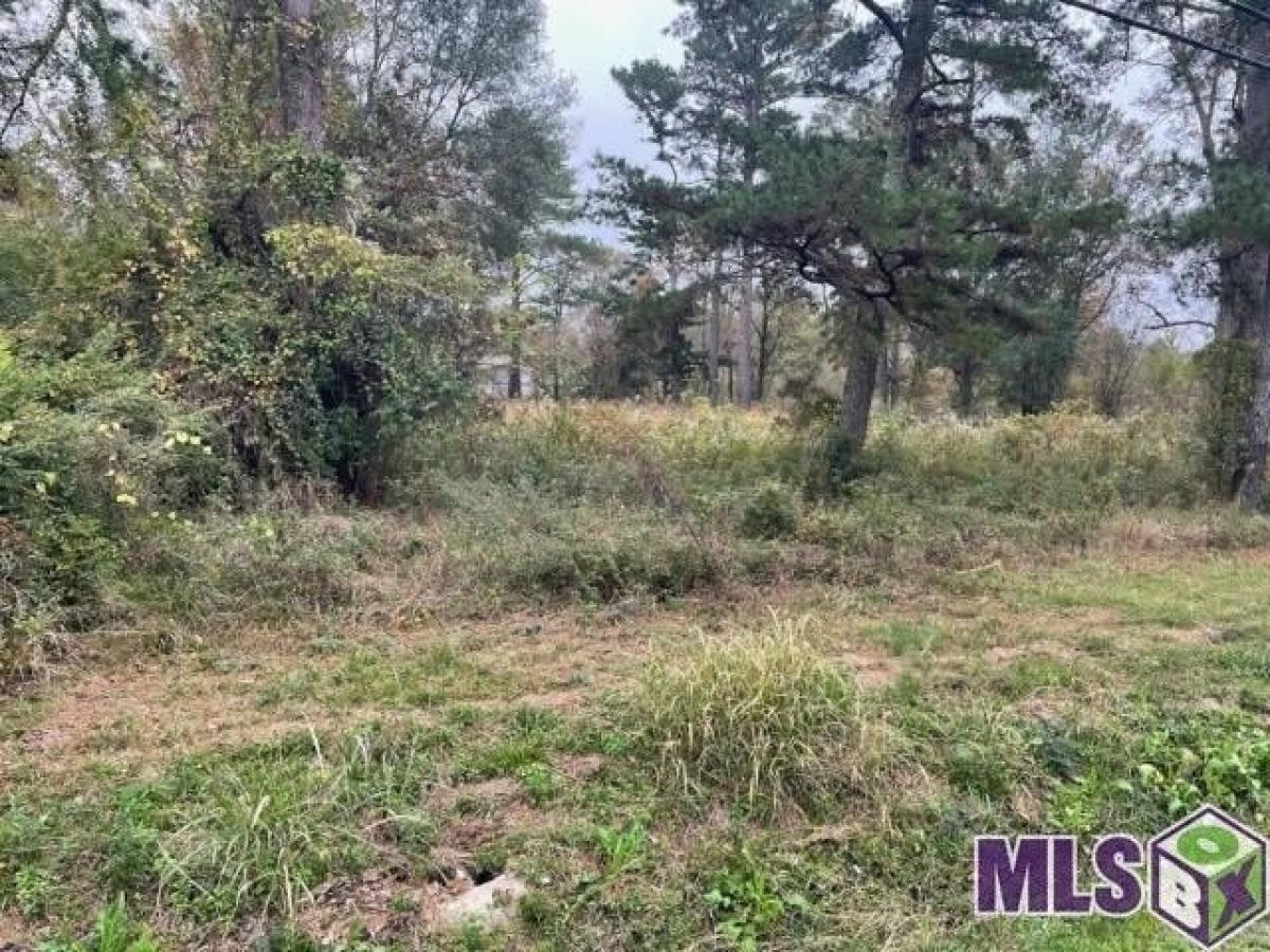 Picture of Residential Land For Sale in Baton Rouge, Louisiana, United States