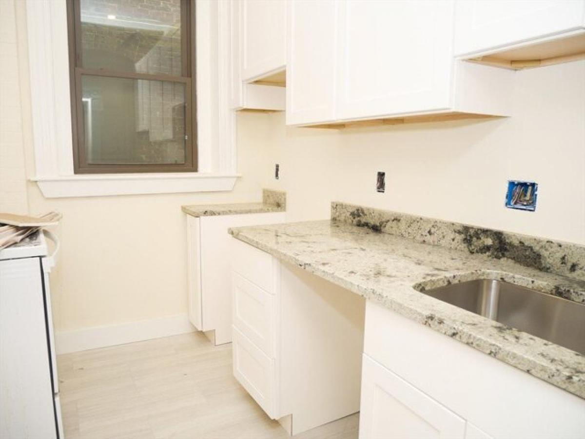 Picture of Apartment For Rent in Brookline, Massachusetts, United States