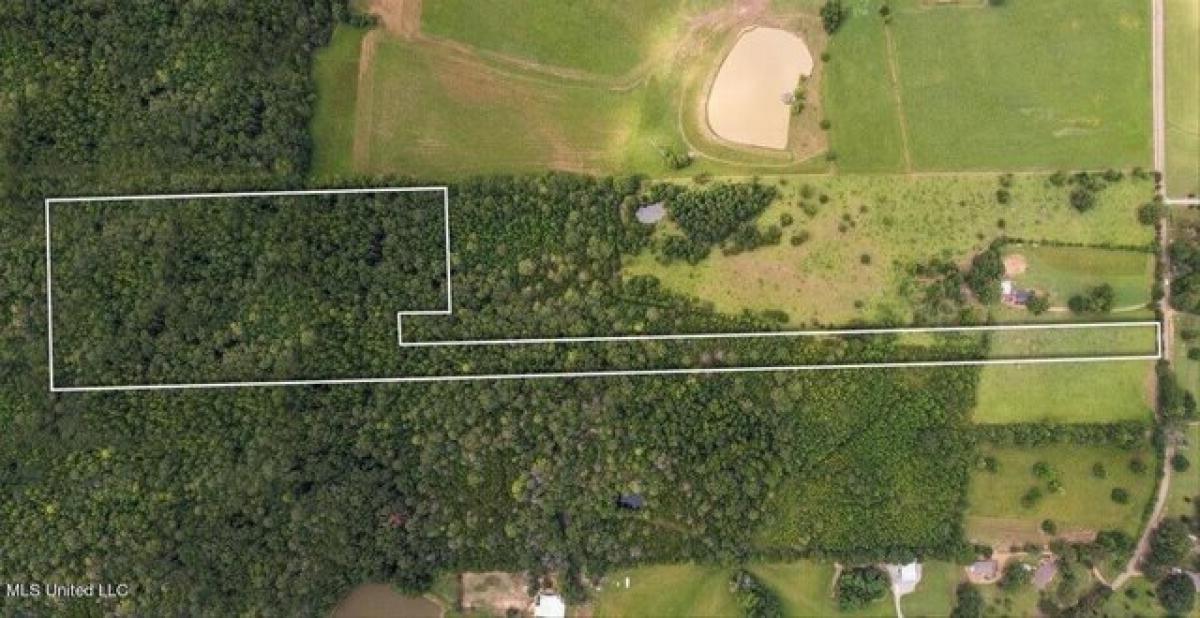 Picture of Residential Land For Sale in Canton, Mississippi, United States