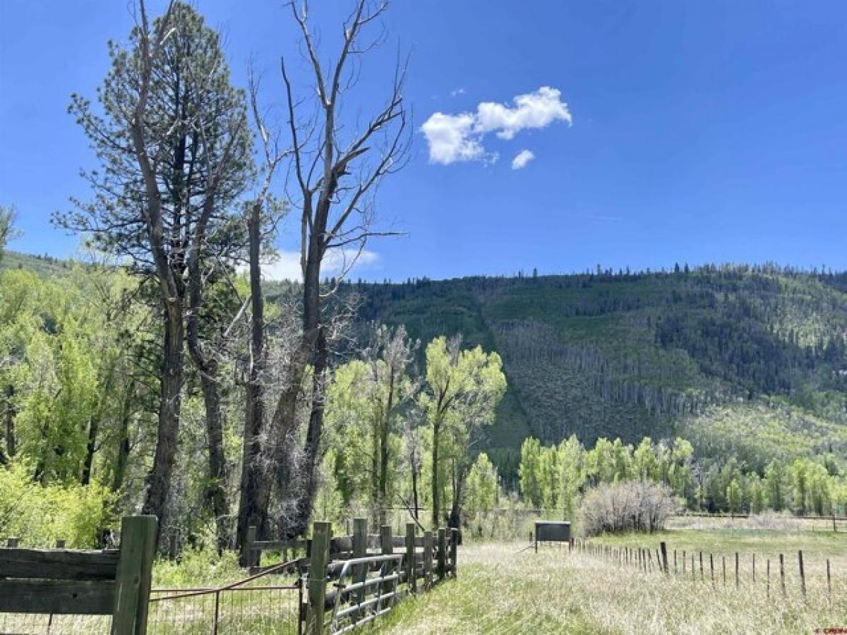 Picture of Residential Land For Sale in Dolores, Colorado, United States