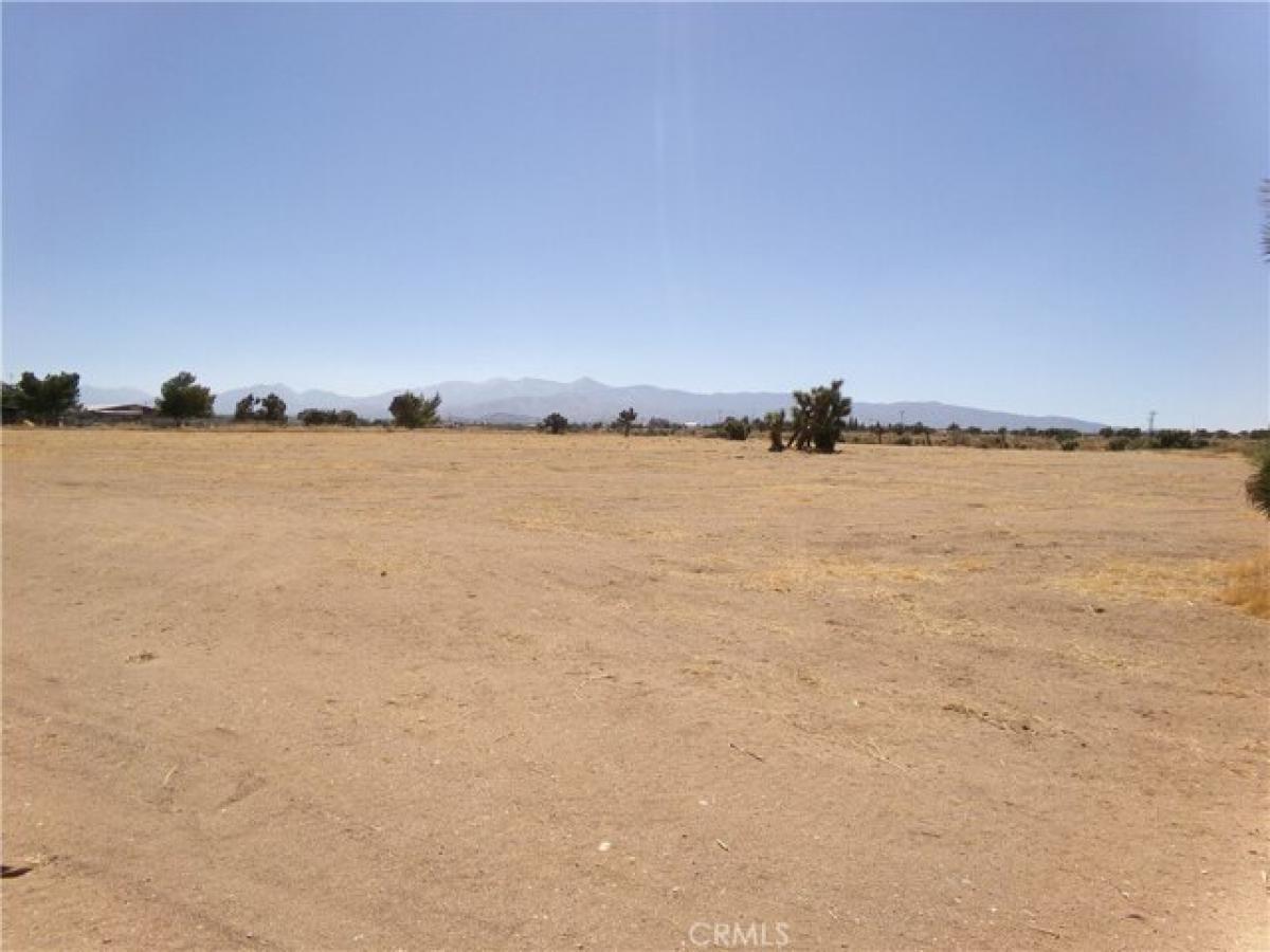 Picture of Residential Land For Sale in Phelan, California, United States