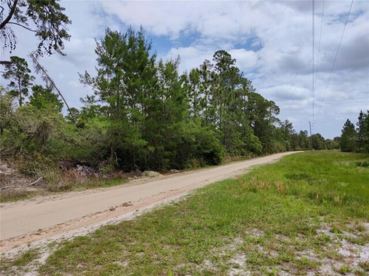 Picture of Residential Land For Sale in Paisley, Florida, United States