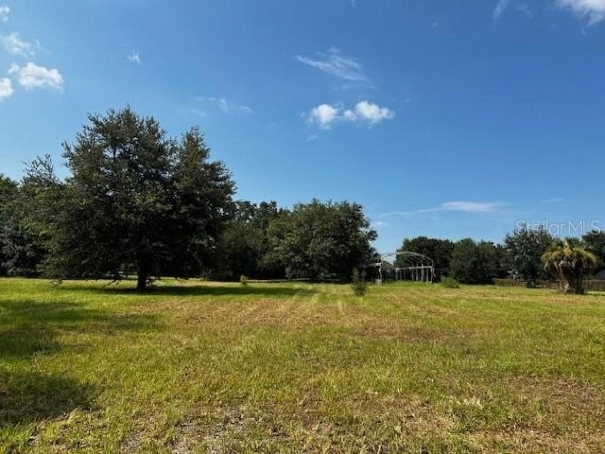 Picture of Residential Land For Sale in Apopka, Florida, United States