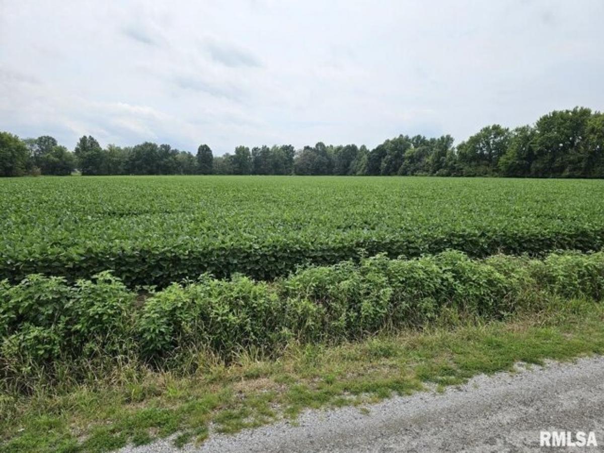 Picture of Residential Land For Sale in Mount Vernon, Illinois, United States