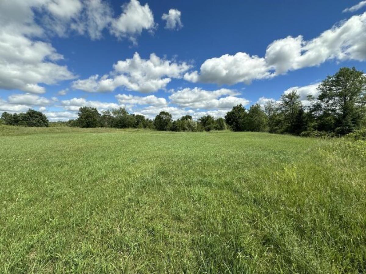 Picture of Residential Land For Sale in Bellevue, Michigan, United States