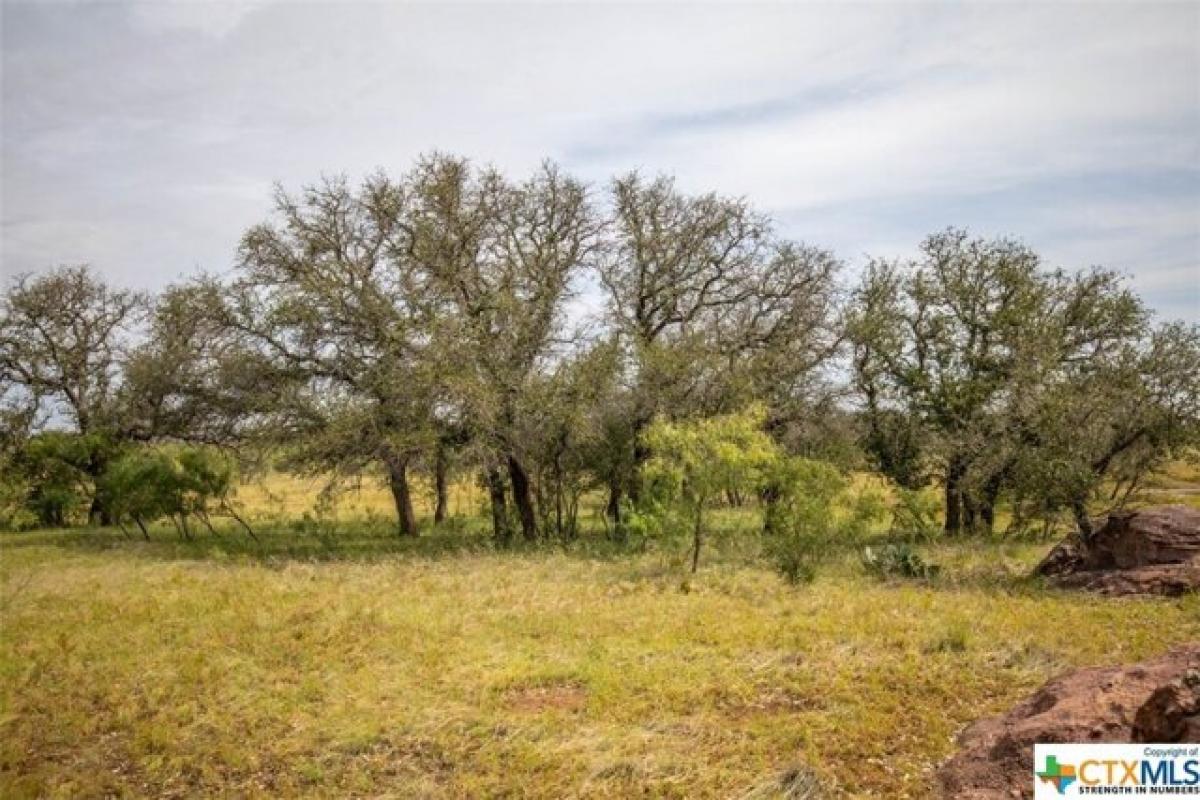 Picture of Residential Land For Sale in Llano, Texas, United States