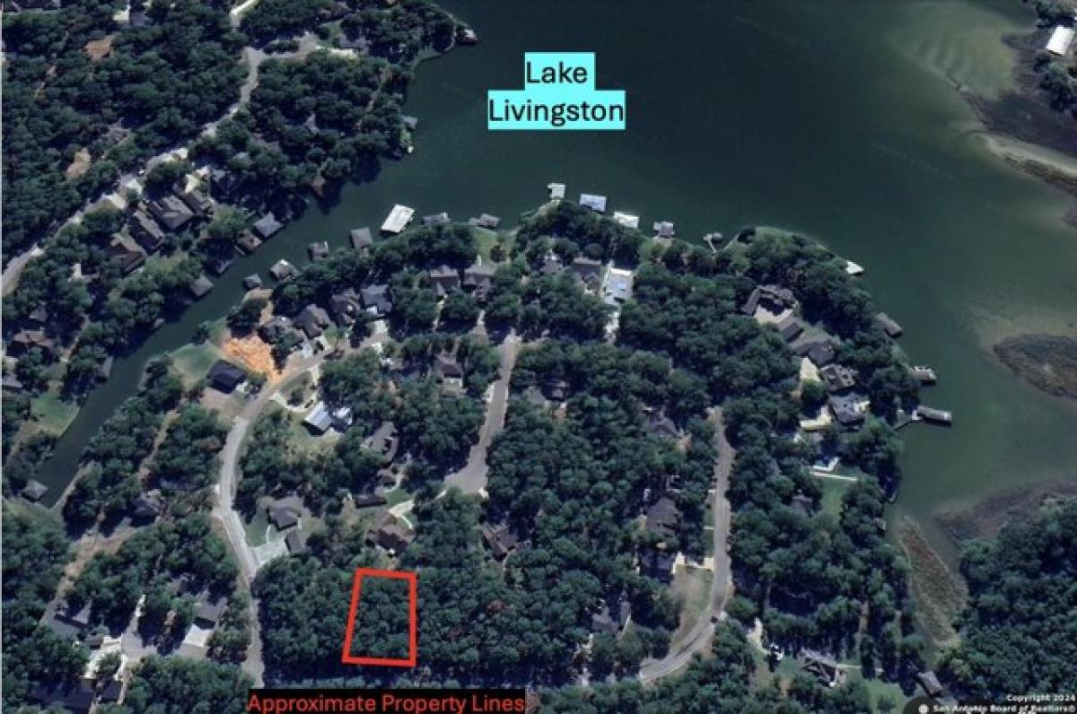 Picture of Residential Land For Sale in Coldspring, Texas, United States