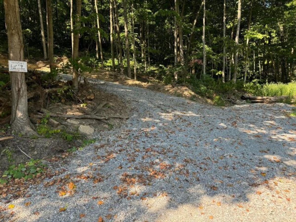 Picture of Residential Land For Sale in Bainbridge, Ohio, United States