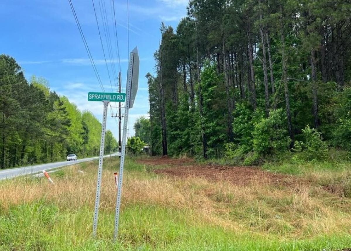 Picture of Residential Land For Sale in Estill, South Carolina, United States