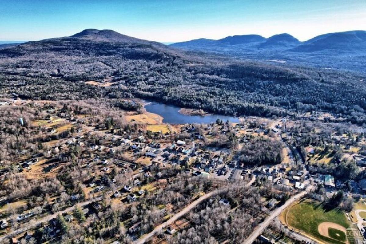 Picture of Home For Sale in Hunter, New York, United States