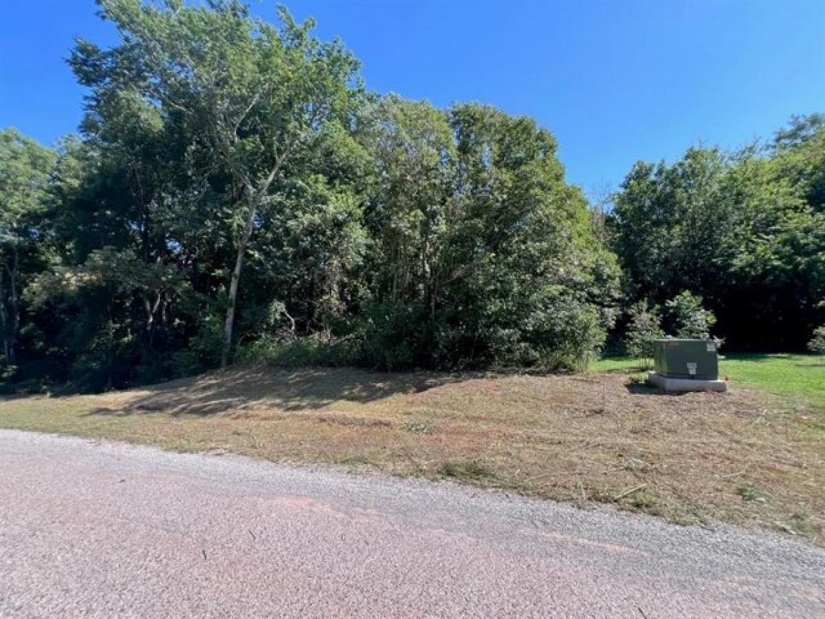 Picture of Residential Land For Sale in Washington, Oklahoma, United States