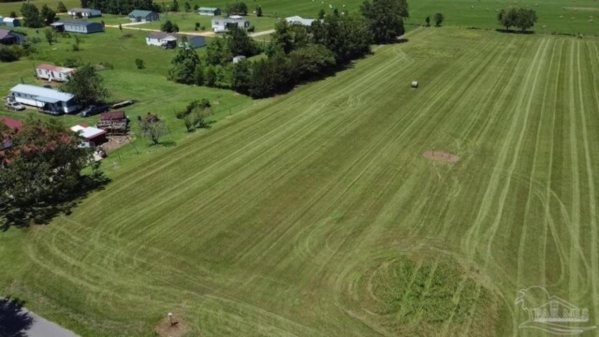 Picture of Residential Land For Sale in Atmore, Alabama, United States