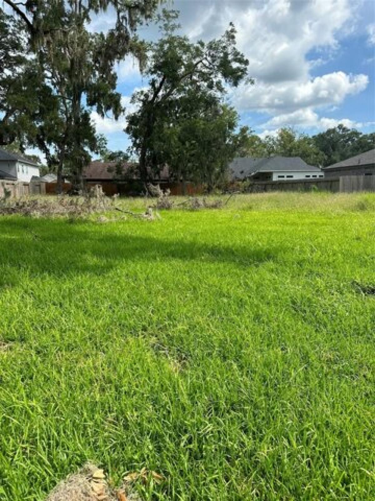 Picture of Residential Land For Sale in West Columbia, Texas, United States