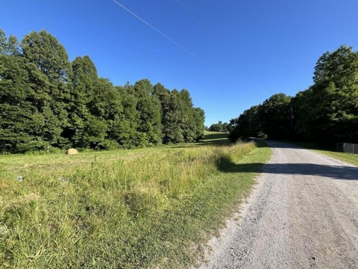 Picture of Residential Land For Sale in Stuart, Virginia, United States