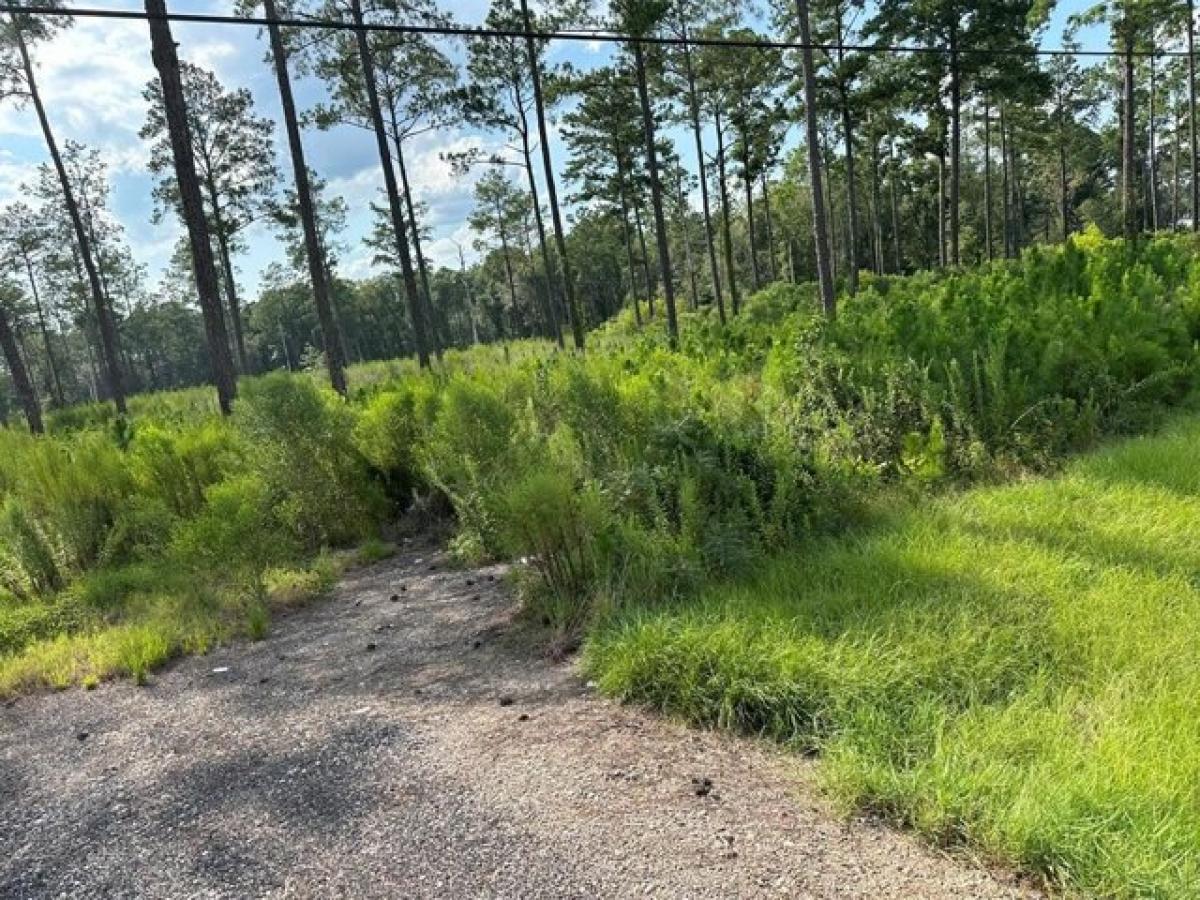 Picture of Residential Land For Sale in Tifton, Georgia, United States