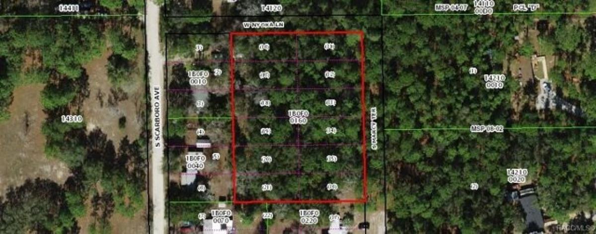 Picture of Residential Land For Sale in Lecanto, Florida, United States