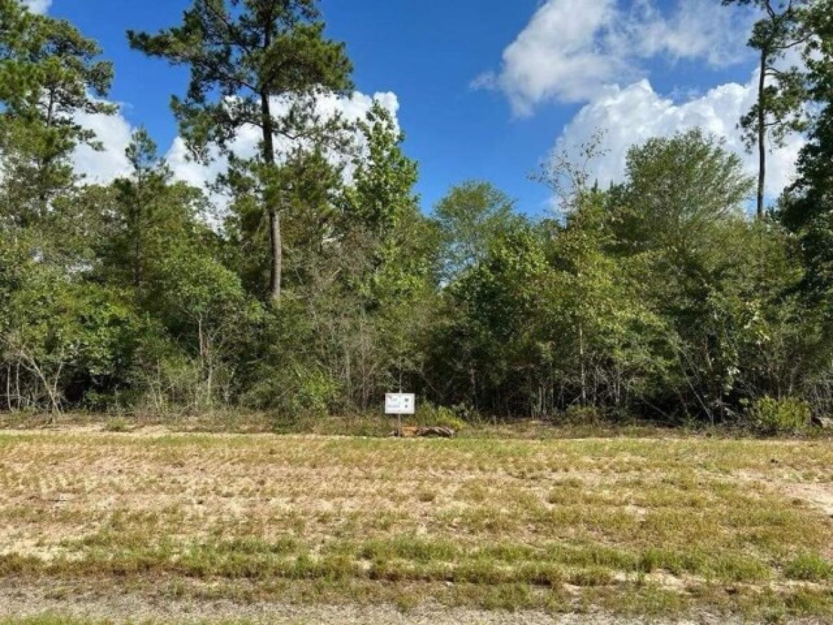 Picture of Residential Land For Sale in New Waverly, Texas, United States