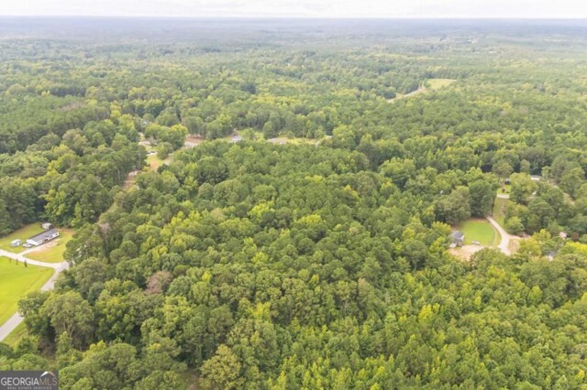 Picture of Residential Land For Sale in Sparta, Georgia, United States