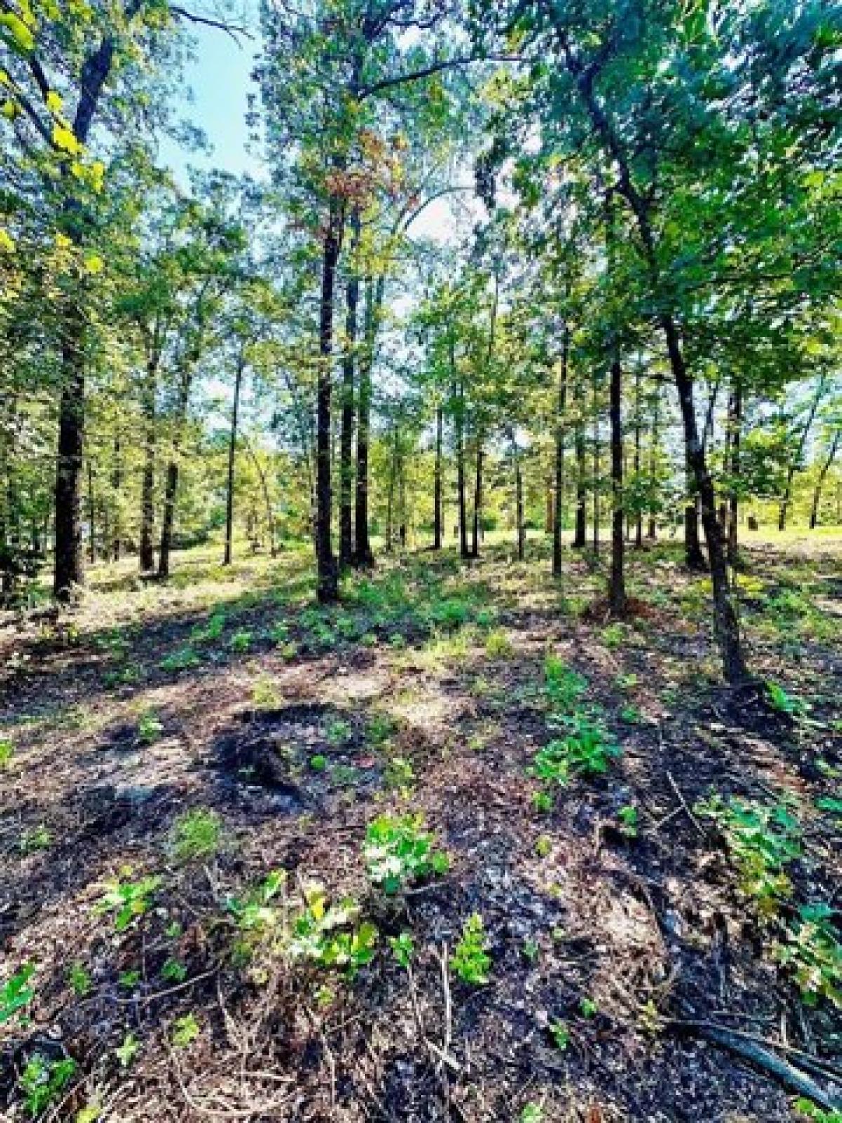 Picture of Residential Land For Sale in Atoka, Oklahoma, United States