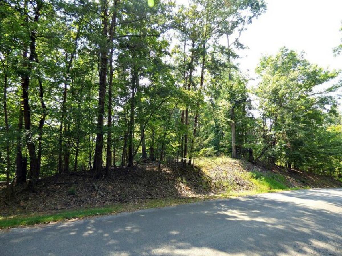 Picture of Residential Land For Sale in Dandridge, Tennessee, United States