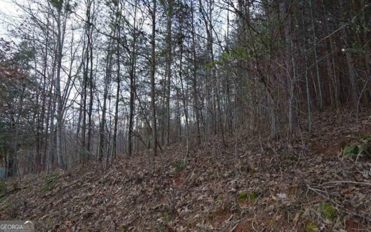 Picture of Residential Land For Sale in Hiawassee, Georgia, United States