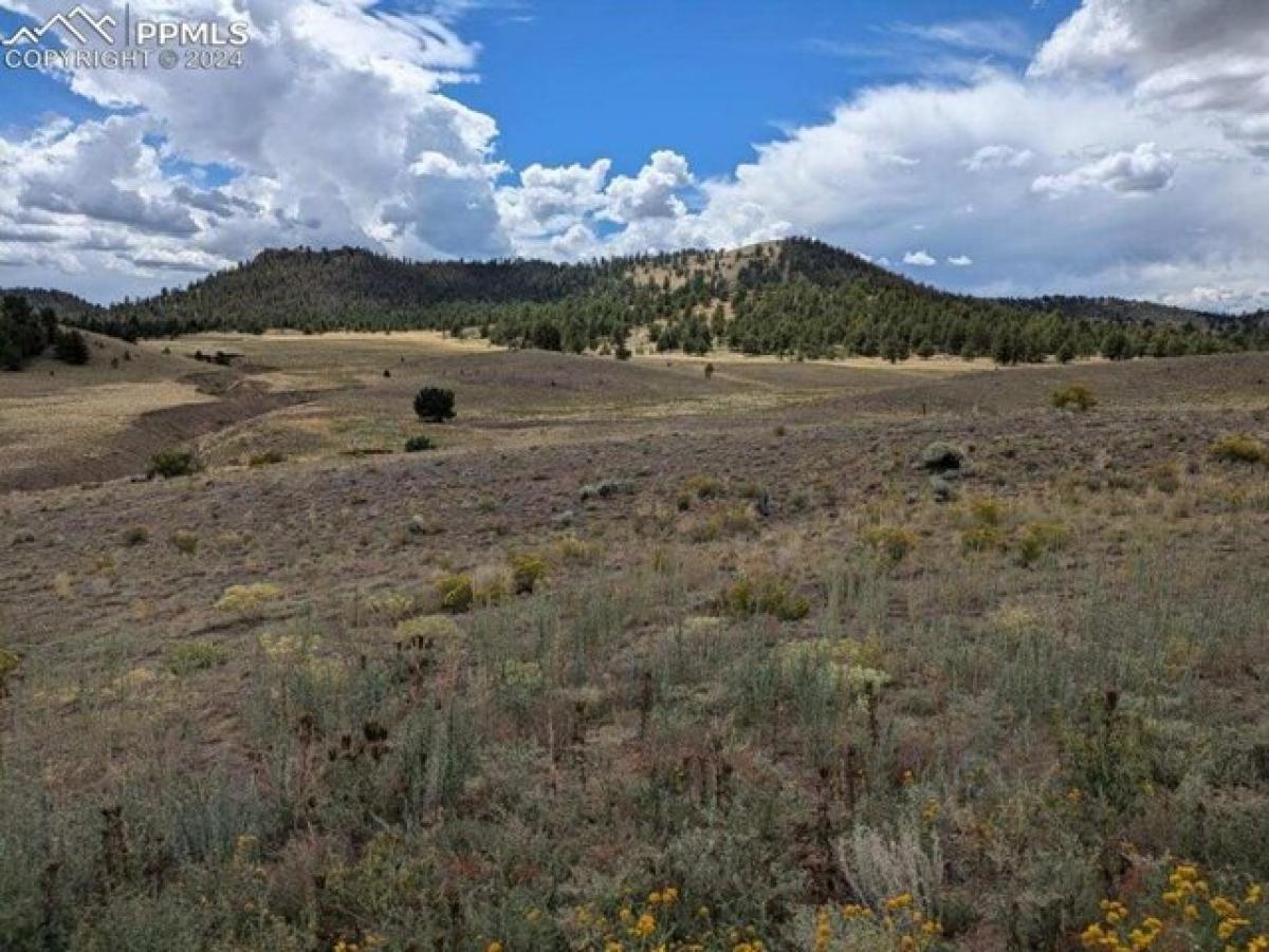 Picture of Residential Land For Sale in Hartsel, Colorado, United States