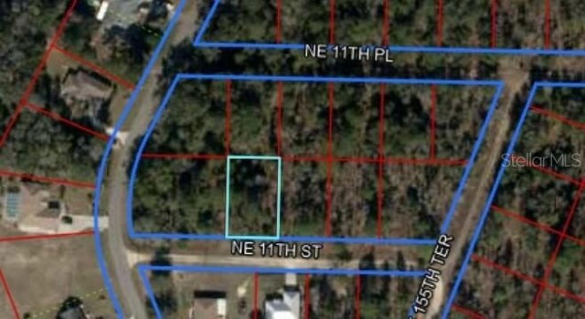 Picture of Residential Land For Sale in Williston, Florida, United States