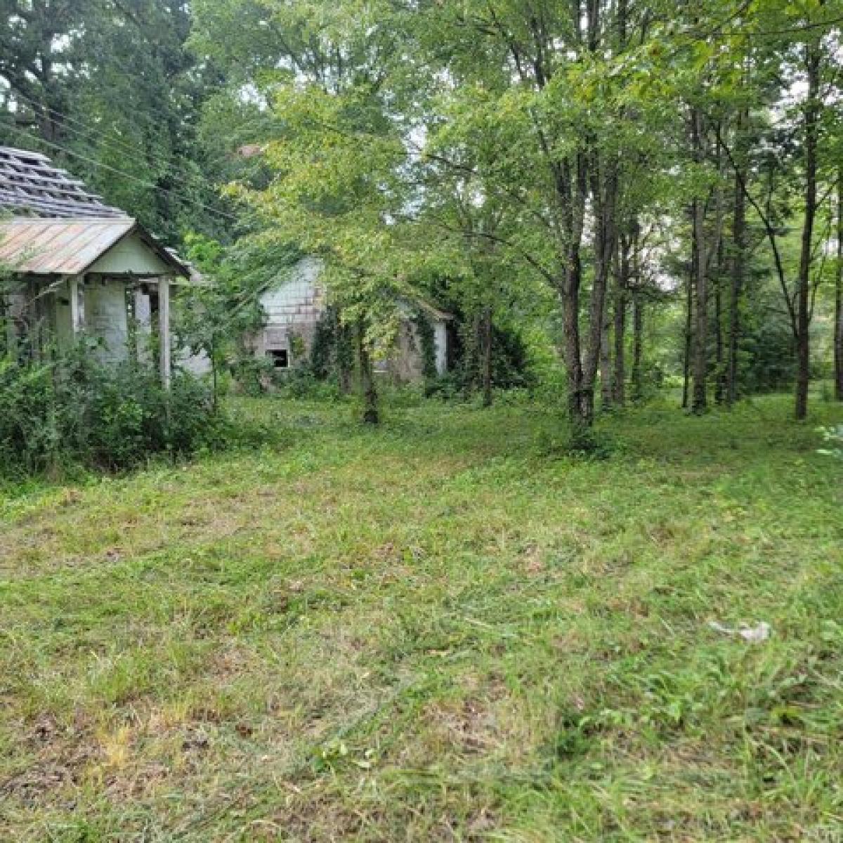 Picture of Residential Land For Sale in Gladys, Virginia, United States