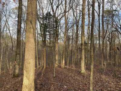 Residential Land For Sale in Savannah, Tennessee