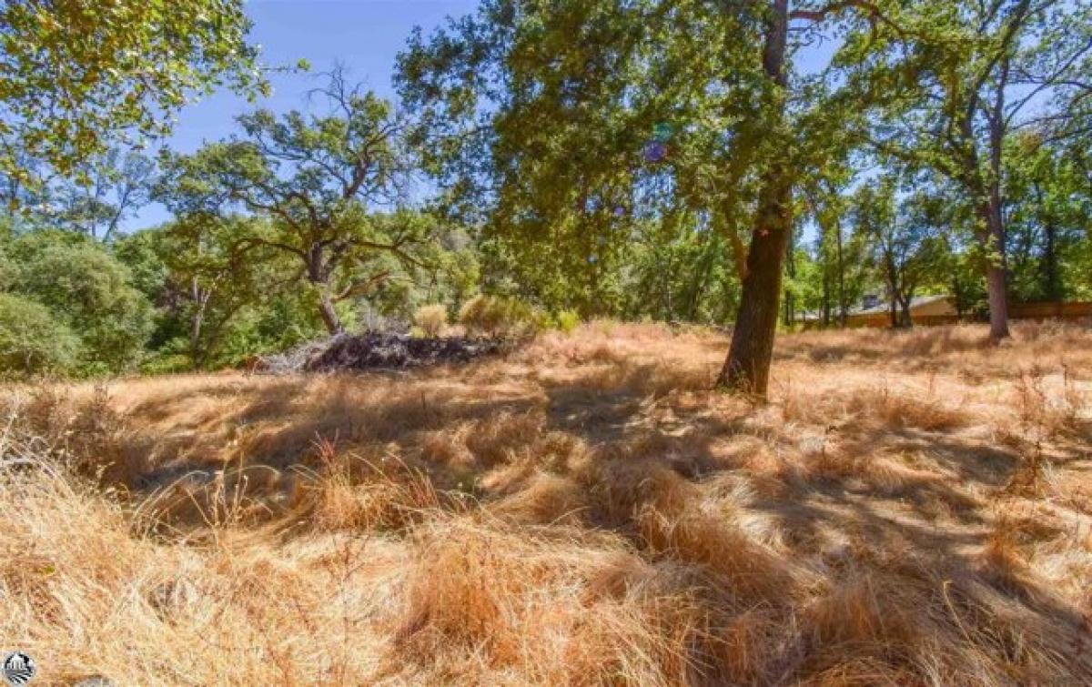 Picture of Residential Land For Sale in Sonora, California, United States