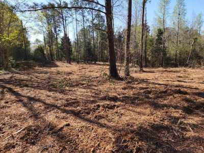 Residential Land For Sale in Georgetown, Georgia