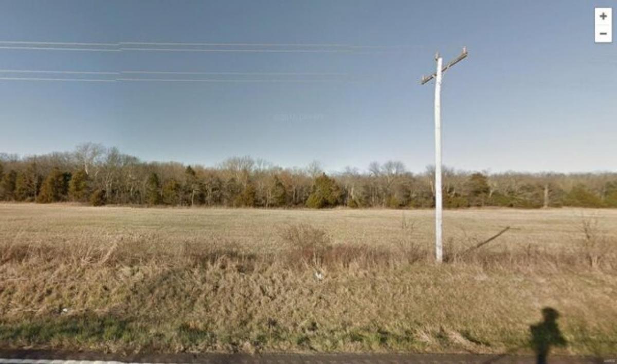 Picture of Residential Land For Sale in Salem, Missouri, United States