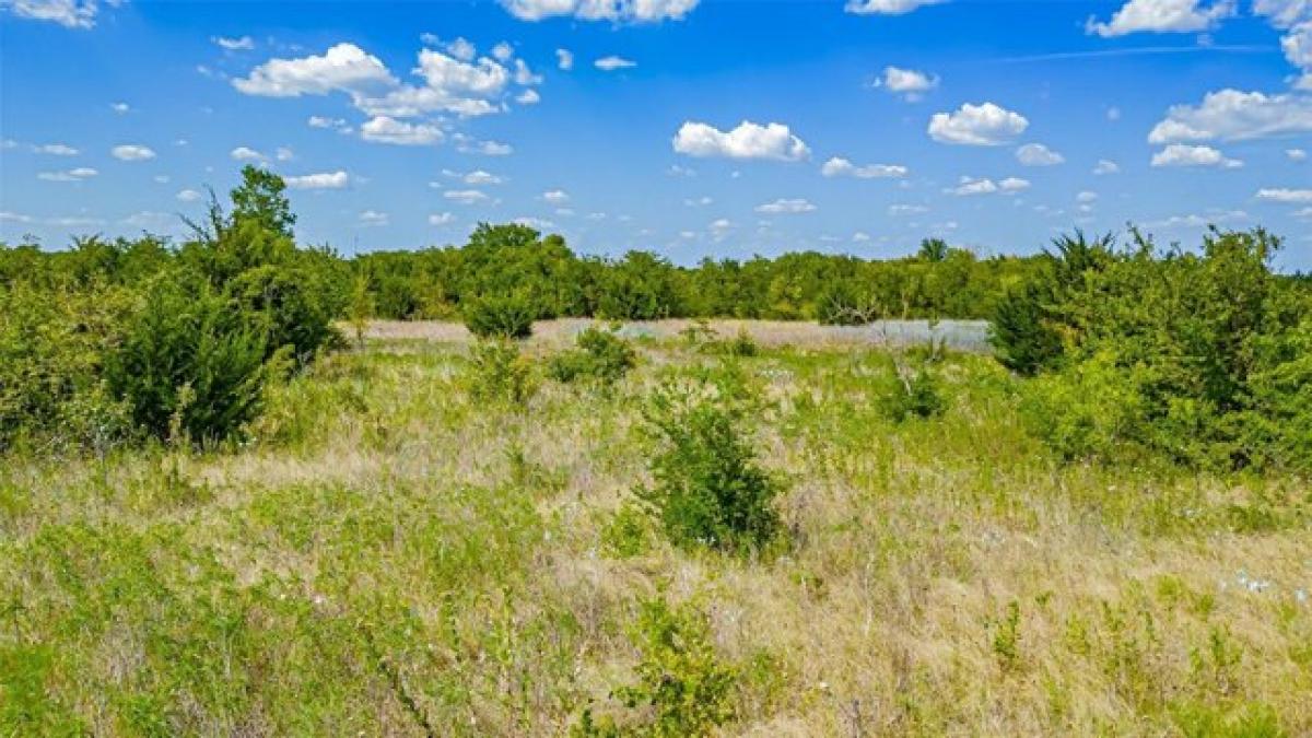 Picture of Residential Land For Sale in Anna, Texas, United States