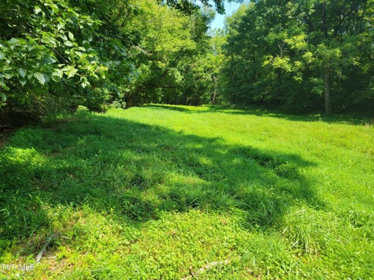 Picture of Home For Sale in Gray, Tennessee, United States