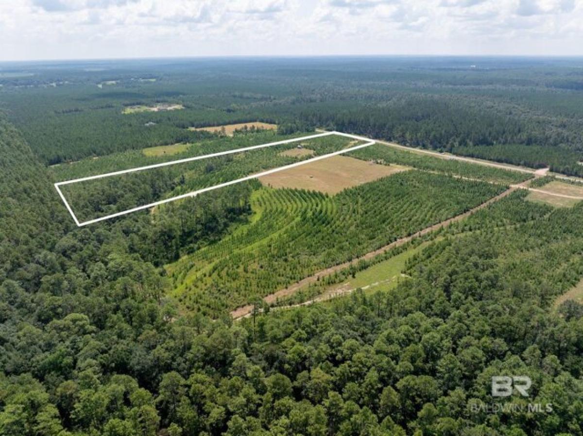 Picture of Residential Land For Sale in Bay Minette, Alabama, United States