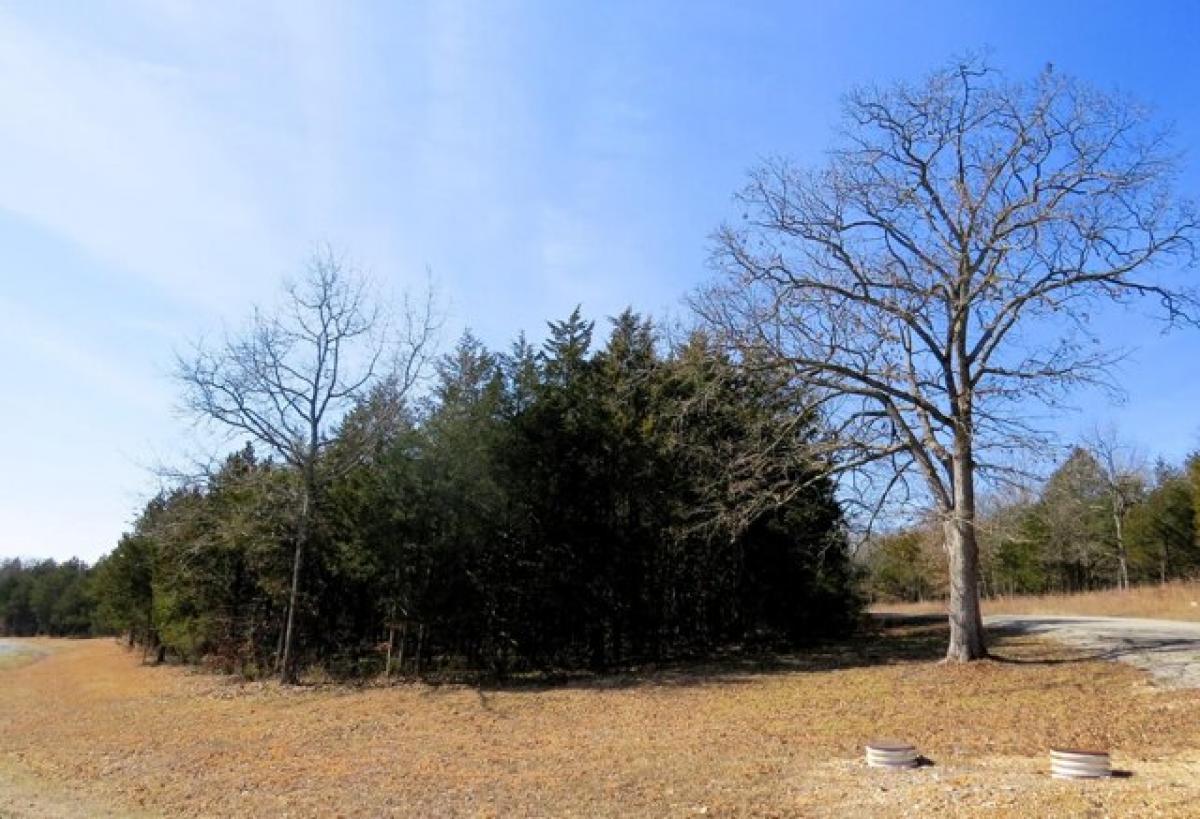 Picture of Residential Land For Rent in Shell Knob, Missouri, United States