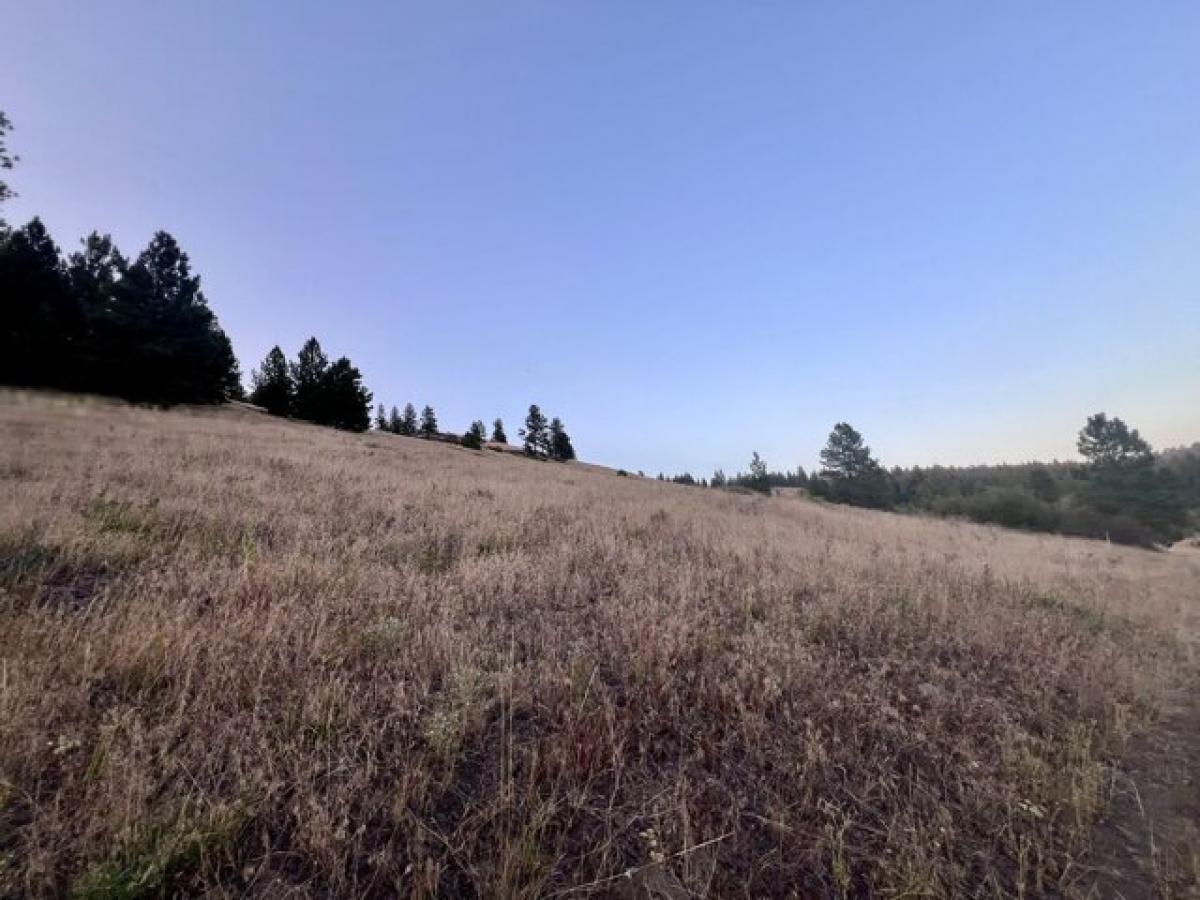 Picture of Residential Land For Sale in Republic, Washington, United States