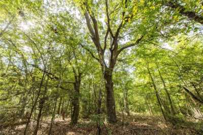 Residential Land For Sale in Frankston, Texas