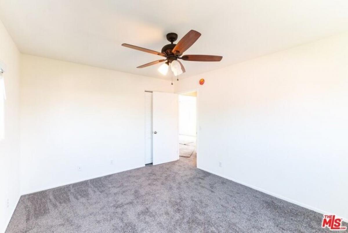 Picture of Apartment For Rent in Venice, California, United States