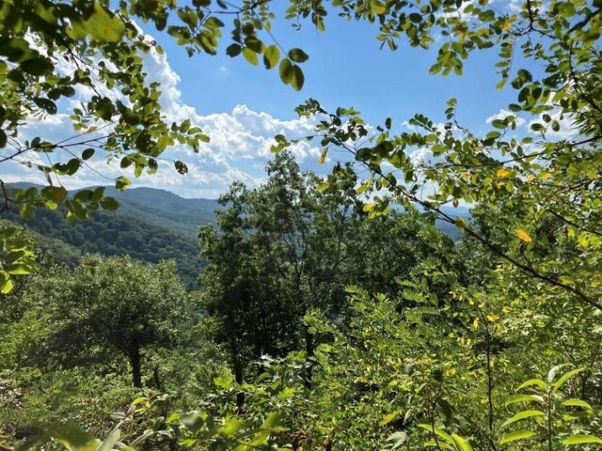 Picture of Residential Land For Sale in Murphy, North Carolina, United States